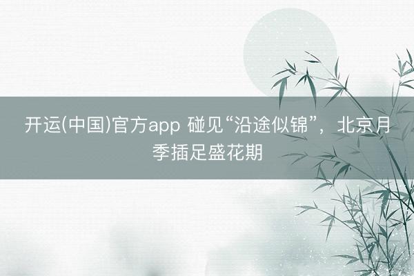 开运(中国)官方app 碰见“沿途似锦”，<a href=