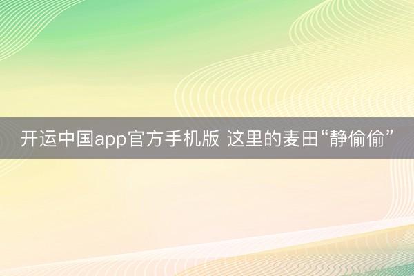 开运中国app官方手机版 这里的麦田“静偷偷”