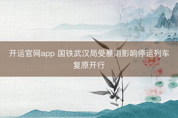 开运官网app 国铁武汉局受暴雨影响停运列车复原开行