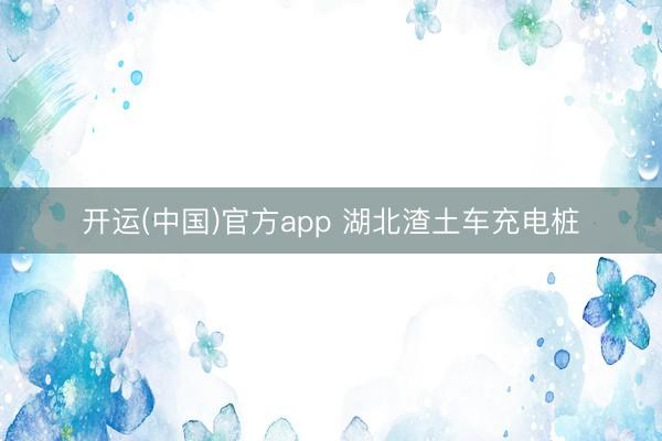 开运(中国)官方app 湖北渣土车充电桩