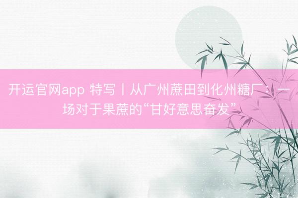 开运官网app 特写丨从广州蔗田到化州糖厂：一场对于果蔗的“甘好意思奋发”